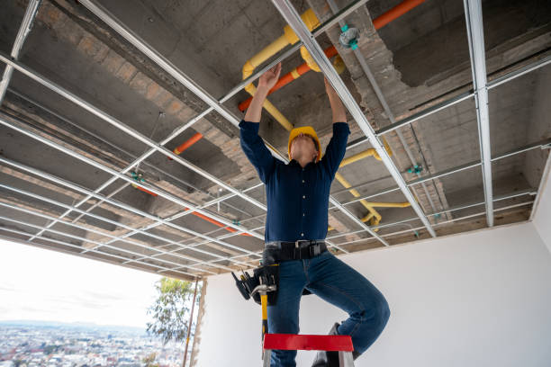 Best Leak Detection Services  in Kingsley, IA